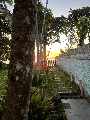 Foto 5 - Anncio 45-662021